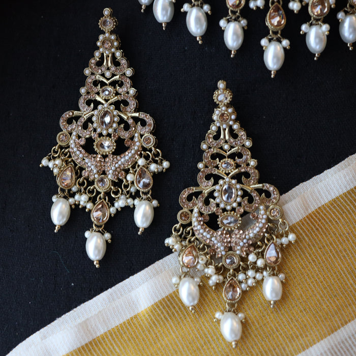 Trendy pearl choker necklace and earrings TW46