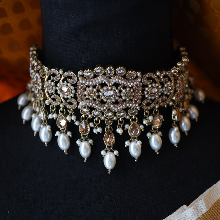 Trendy pearl choker necklace and earrings TW46