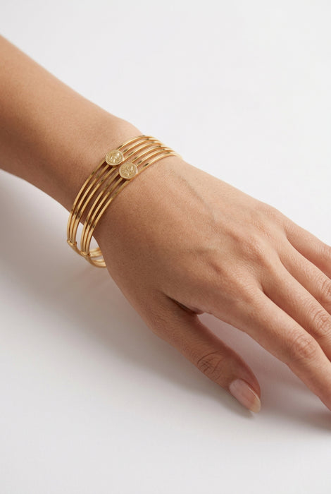 Heritage gold plated coin design gold bangle (1 set  of 2 bangles) HB5122